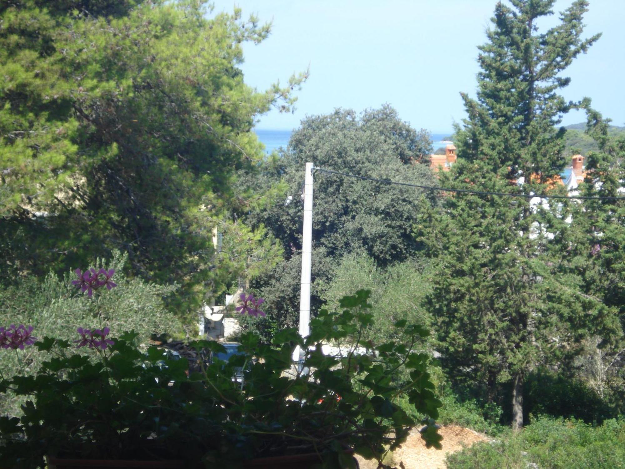 Apartments Vidakovic Уґлян Номер фото